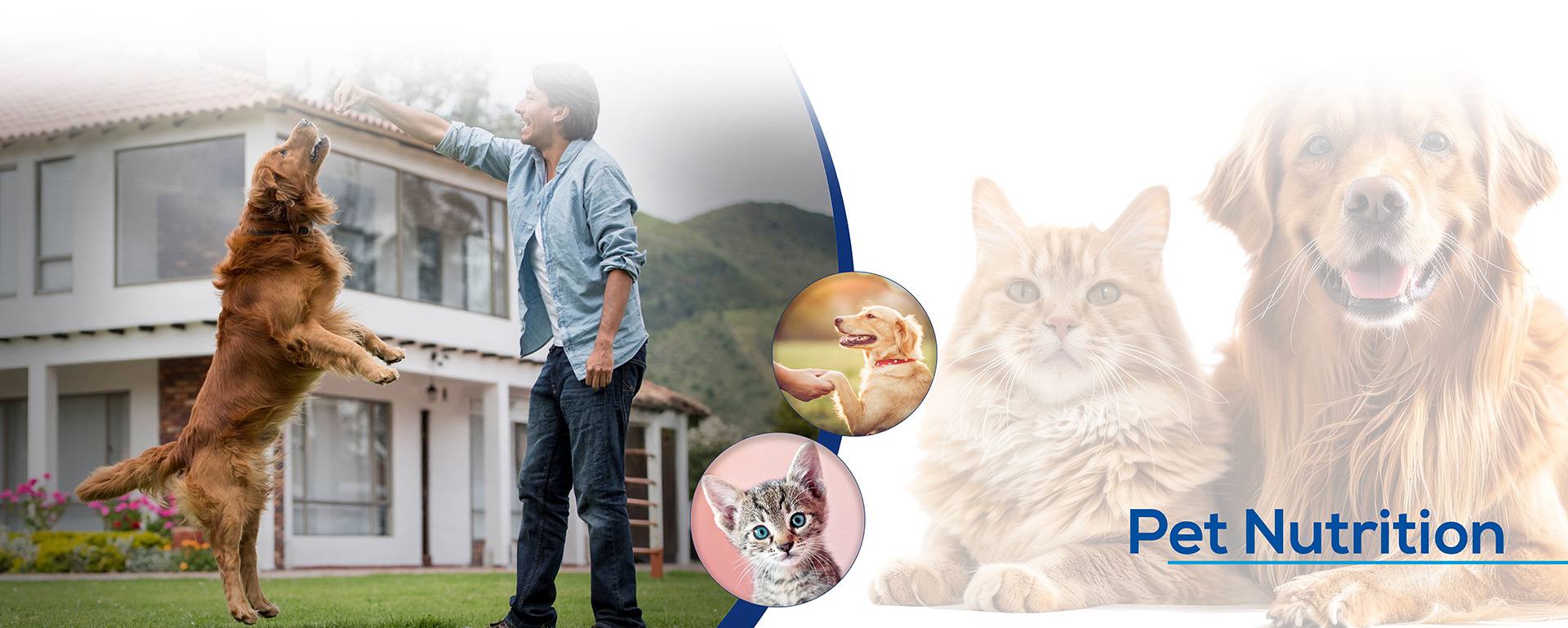 pet sub banner 01